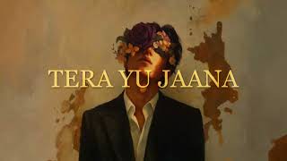 Download lagu TERA YU JANA ( audio and video) krezy mp3