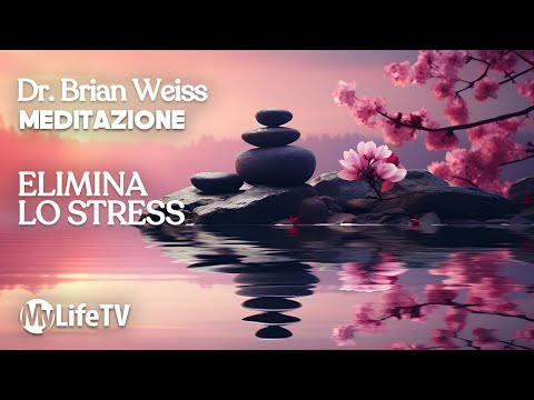 BRIAN WEISS: Complete Anti-Stress Guided Meditation for Relaxation