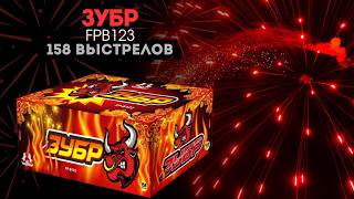 Видео Зубр (FP-B123) G_rbxd5eHA8