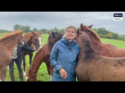 L ´ I N T E R ‘ V O U S 🎙💫présentation de l’élevage de selle français : l’élevage de Nantuel