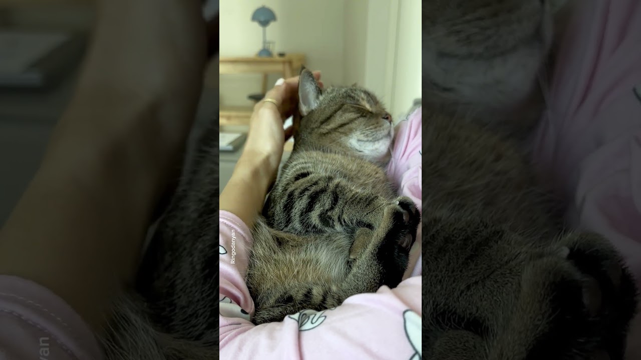 ��������� ����� �� ����� - ��� ������ ����