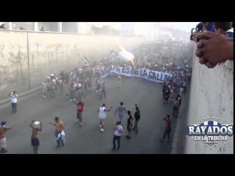 "Caravana clásico 105, La Adicción/ MTY VS TIGRES 2015" Barra: La Adicción &bull; Club: Monterrey