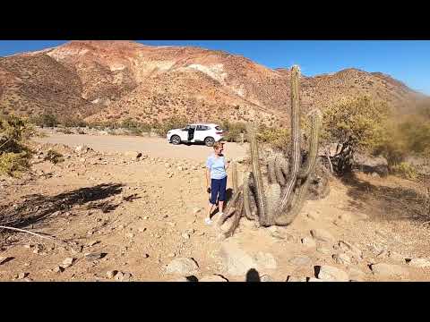 2023_03(FP) Día 122/155 Valle del Río Hurtado