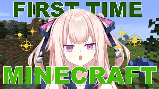 [閒聊] Iku Hoshifuri/星降いく Minecraft初挑