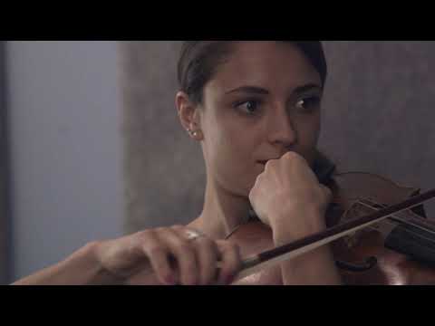 Take a trip with the Dover Quartet in "Strings Attached"