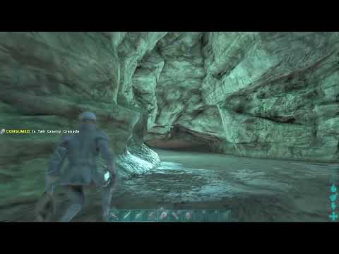 Defending crouch Bear (DXOT)