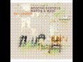 Medeski Scofield Martin and Wood - Legalice It