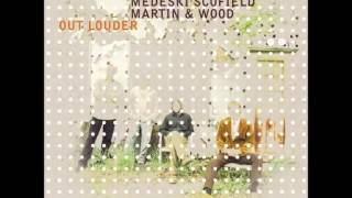 Medeski Scofield Martin and Wood - Legalice It