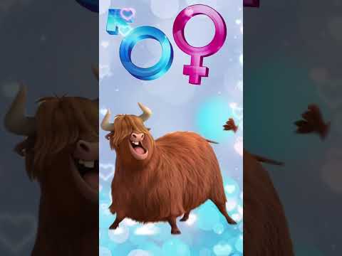 Version Ferdinand 💕