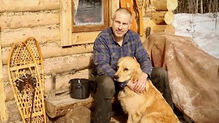 Home Alone with my Dog at the Log Cabin, ASMR Tapping Trees, Off Grid Refrigeration