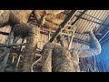 PARKCIRCUS DURGA PUJA PREPARATION 2024 OFFICIAL VIDEO SCULPTOR PRADIP RUDRAPAL PRP STUDIO