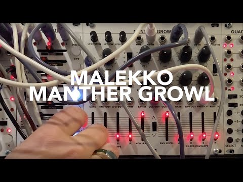 Malekko Manther Growl 2018 - Present - Gray image 2