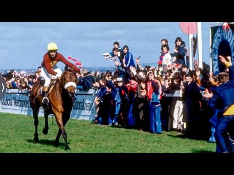 Red Rum Full High Quality BBC Coverage of His 5 Grand Nationals.Plus Wonderful Extra Footage HRL.