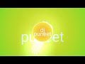 Jhula Jhulan Aayi Ho Jagdamba Bhavani Navratri Spacial Dj Pm Nsp Hard Bass Song