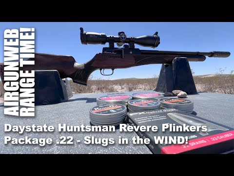 Amazing Results shooting in the WIND! - Daystate Huntsman Revere .22 Plinkers Package w/ MTC Optics