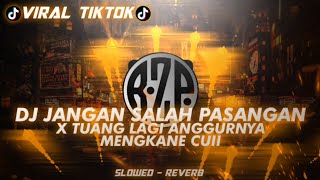 Download lagu [VIRAL TIKTOK]'DJ JANGAN SALAH PASANGAN X TUSNG LAGI ANGGURNYA' [ slowed - reverb ] Mengkane Cuiii mp3