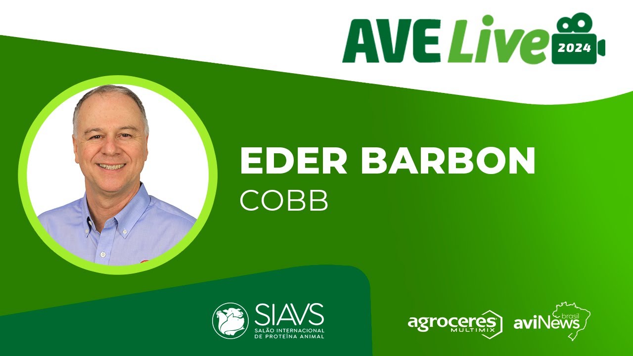 Estratégias de manejo para redução de perdas na avicultura