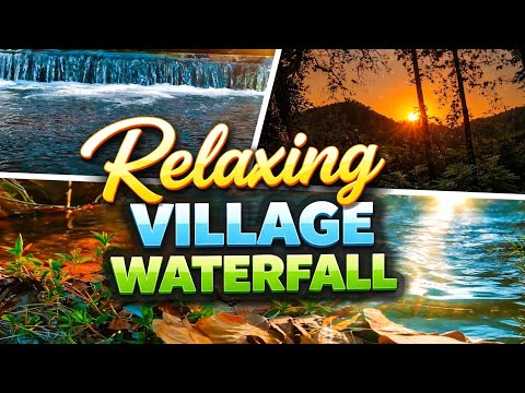  NATURE LOVER 🤍 #sunset sunset#treephotography#goldenhour#naturelovers#eveningvibes#forestvibes#suns