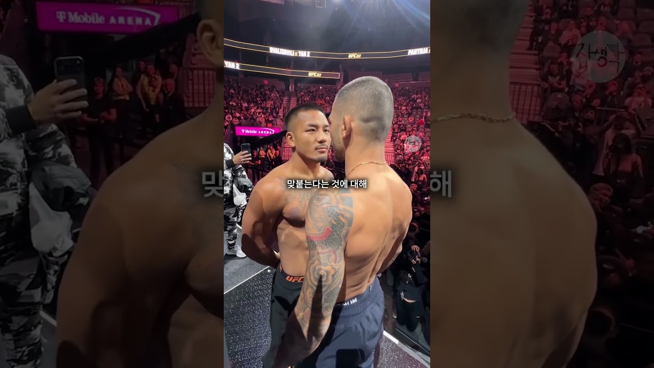 긴장감이 감도는 조슈아 반 vs 판토자 마지막 페이스오프 ㄷㄷ... 여유로운 조슈아 반