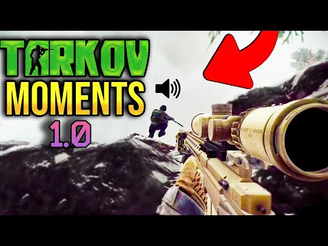 EFT WTF Moments | ESCAPE FROM TARKOV | Highlights & Clips Ep.439