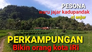 Download lagu suasana perkampungan di kadu pandak  cianjur 23 Desember 2020 mp3