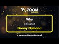 Donny Osmond - Why - Karaoke Version from Zoom Karaoke