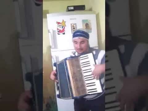 Despasito tiganesc acordion