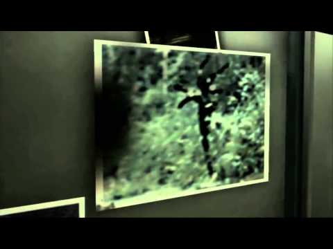 Old Snake Wants Answers