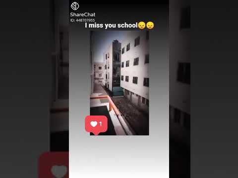 gainwiththeepluto #harshu_tp  #gainwithmtaaraw #gainwithxtiandela  #gainwithpaula #chuva #100 #chuva gainwiththeepluto #harshu_tp  #gainwithmtaaraw #gainwithxtiandela  #gainwithpaula #chuva #100 #chuva