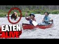 6 Most DISTURBING Animal Attacks In ALASKA History