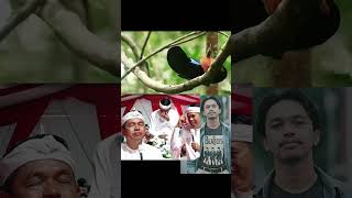 Download lagu Surga di tanah Papua lagu fenomenal karya kdm mp3