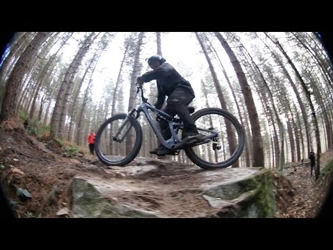 Nuts half cab by Dan Paley