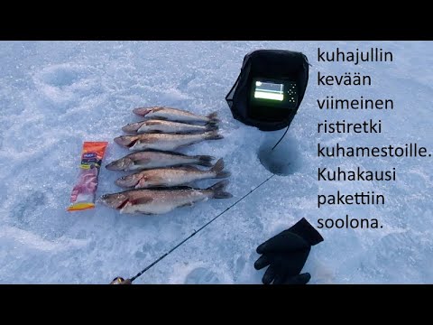 Viimeinen ristiretki | Kuhajulli päättää kuhauden soolona | Kiitos kaikille katsojille 🙌