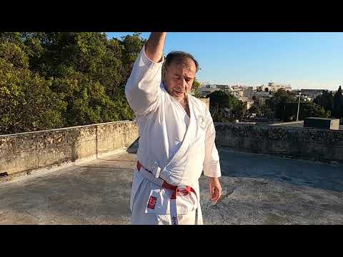 HEIAN GODAN (step by step)