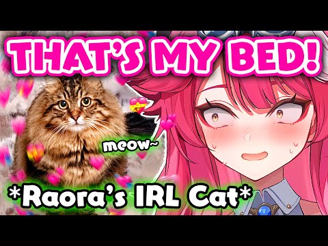 Raora's IRL Cat Interrupts Her Stream and Her Reaction Is Too Cute