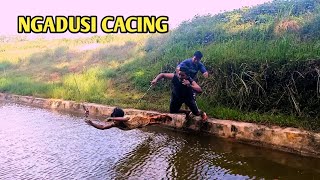 Download lagu NGEDUSI CACING || PARODI LUCU BIKIN NGAKAK || mp3 Download lagu NGEDUSI CACING || PARODI LUCU BIKIN NGAKAK || mp3