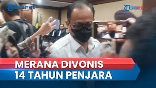 Rafael Alun Divonis Penjara 14 Tahun & Denda Rp 500 Juta Kasus TPPU, Ayah Mario Dandy Pikir-pikir