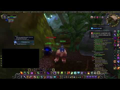 WOW - Classic WOTLK - Skyfury - Alliance Gnome Warlock.  76 to 80.