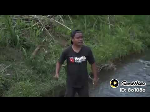 storiy #storywa #wokochannel mikidi golek ubetan @woko channel