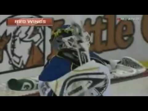 Johan Franzen Amazing goal vs Blues