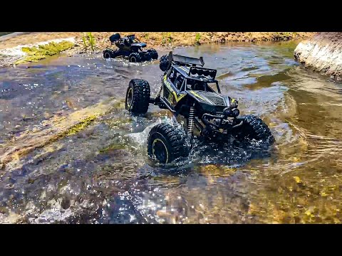 4X4 RC Rock Crawler 4WD Double Motors Off-Road Car 1:8 vs 1:12 Scale| Excellent Off-Road Performance