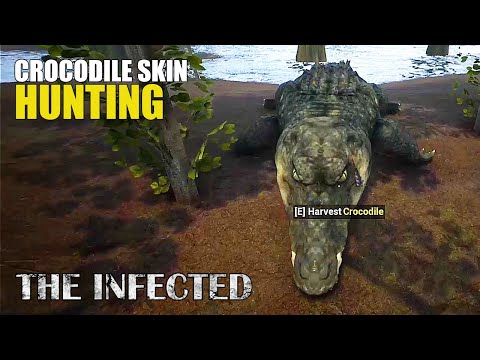 Crocodile Skin for a Larger Backpack | The Infected Gameplay | S3 EP2