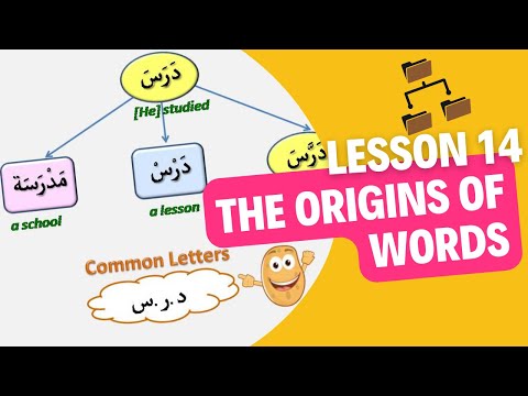 Level 2 - Lesson 14 - The root and pattern system - أصول الكلمات