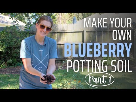 Blueberry Potting Soil PART 1 | Easy DIY Blueberry Potting Mix Recipe