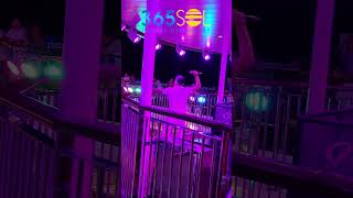 That little Dancer was having too much fun | Carnival Celebration Cruise review 2024