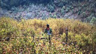 Grandaddy - He&#39;s Simple, He&#39;s Dumb, He&#39;s the Pilot