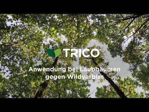 TRICO®: Anwendung bei Laubbäumen gegen Wildverbiss