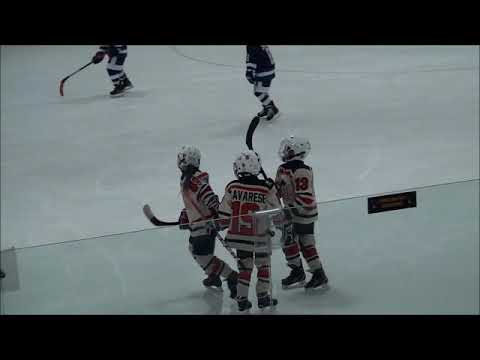 2020 Wisconsin Dells 8U Hockey Championship