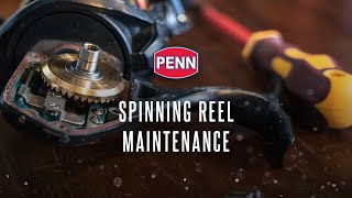 PENN Easy Reel Maintenance | Spinning Reel Maintenance