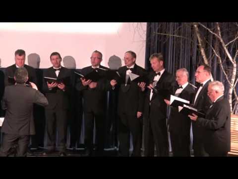 MoPZ RADOMLJE LETNI KONCERT, KULTURNI DOM RADOMLJE, 3  12  2016